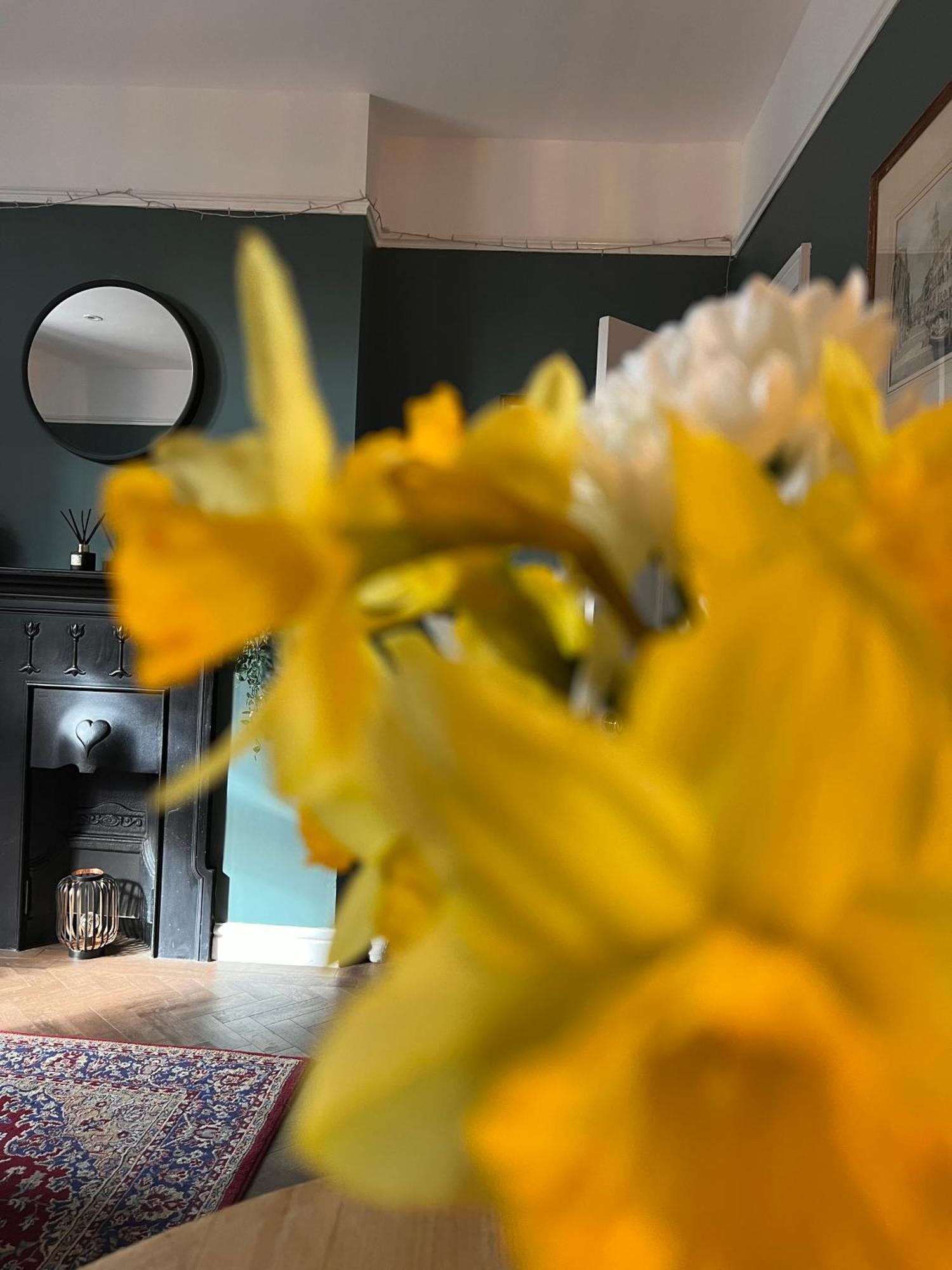 Cartref - Fully Equipped And Stunning Town Flat Lejlighed Shrewsbury Eksteriør billede